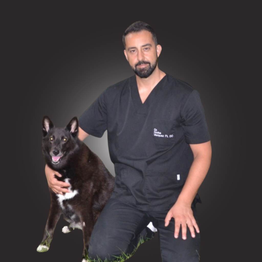 Dr. Gorka Vázquez